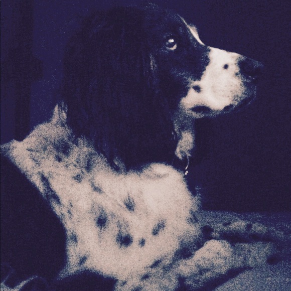 Meet your Posher, Jessica - Picture 4 of 16